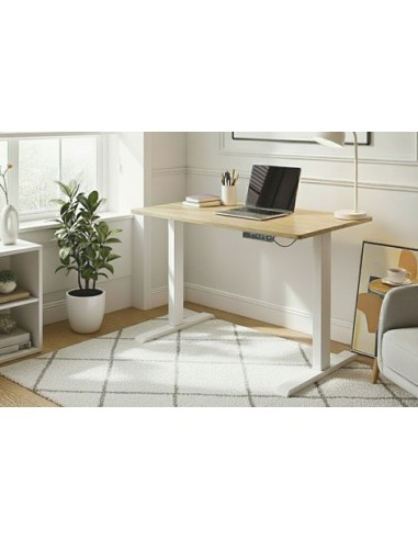 MESA ESTUDIO MOTORIZADA 120 X 60 OAK / BLANCO