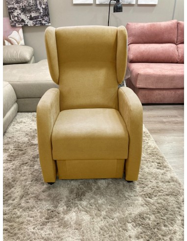 Butaca Elegante con Respaldo Reclinable