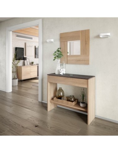 HI Recibidor-Consola R.CANADIAN/OXIDO