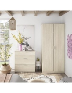 LOW COST Armario 2p ROBLE 2